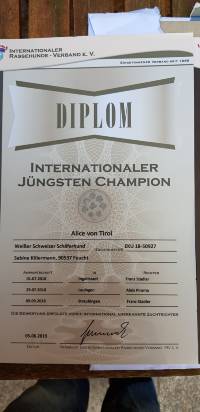 Internationaler J&uuml;ngsten Champion