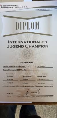 Internationaler Jugend Champion