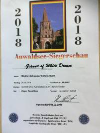 Sieger-Auwaldsee 2018 - V1-CACIB